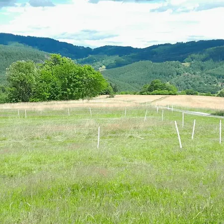 Drevenica Rybarie S Kupacou Kadou Klokocov (Cadca)