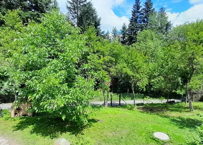 Drevenica Rybarie S Kupacou Kadou * Klokocov (Cadca)